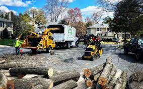 Best Weed Control  in Clinton, NY